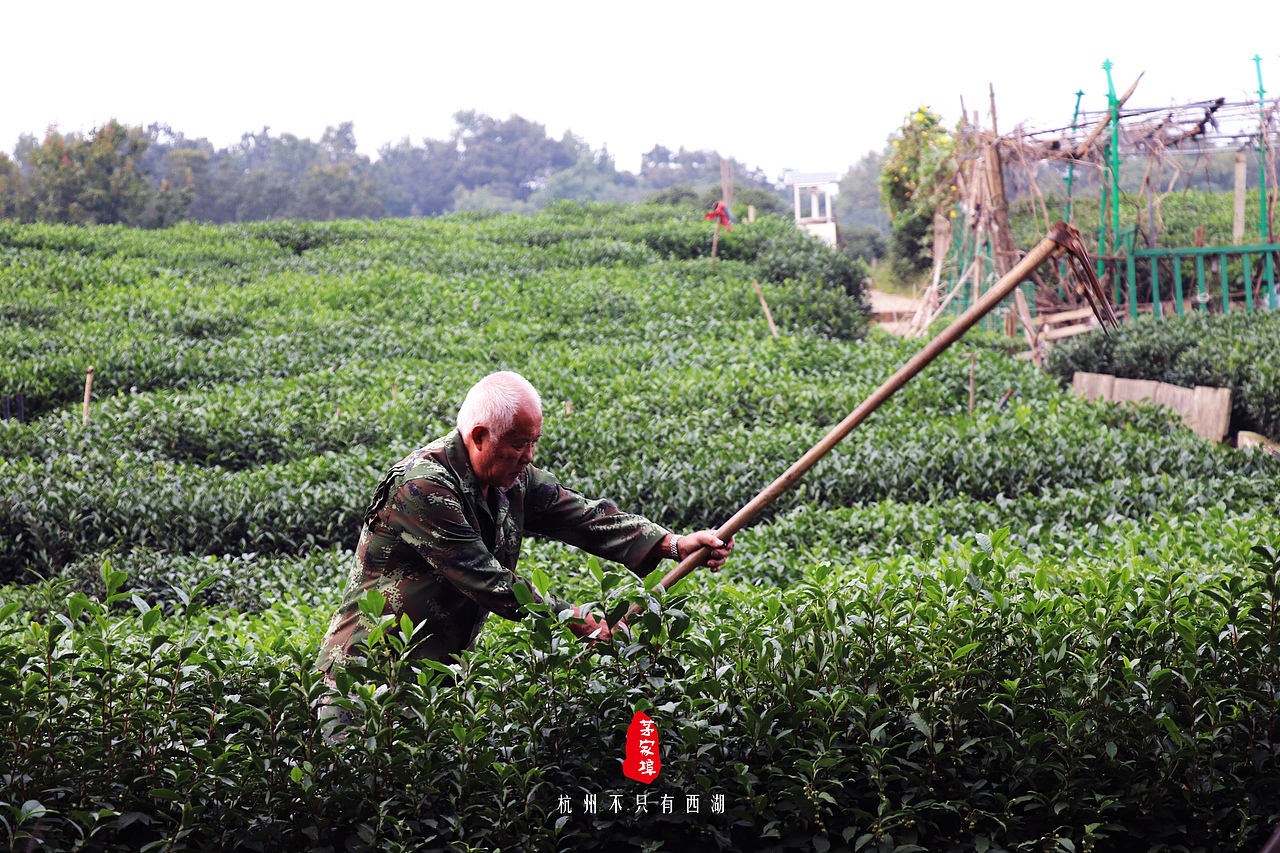 杭州不只有西湖(二)