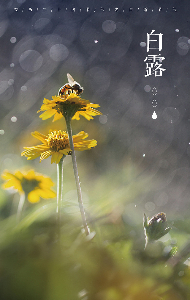 地产（图ZOTg1MTAxNTY=） - 其他平面 - 站酷设计师1海1洛1因1原创素材 - 站酷ZCOOL