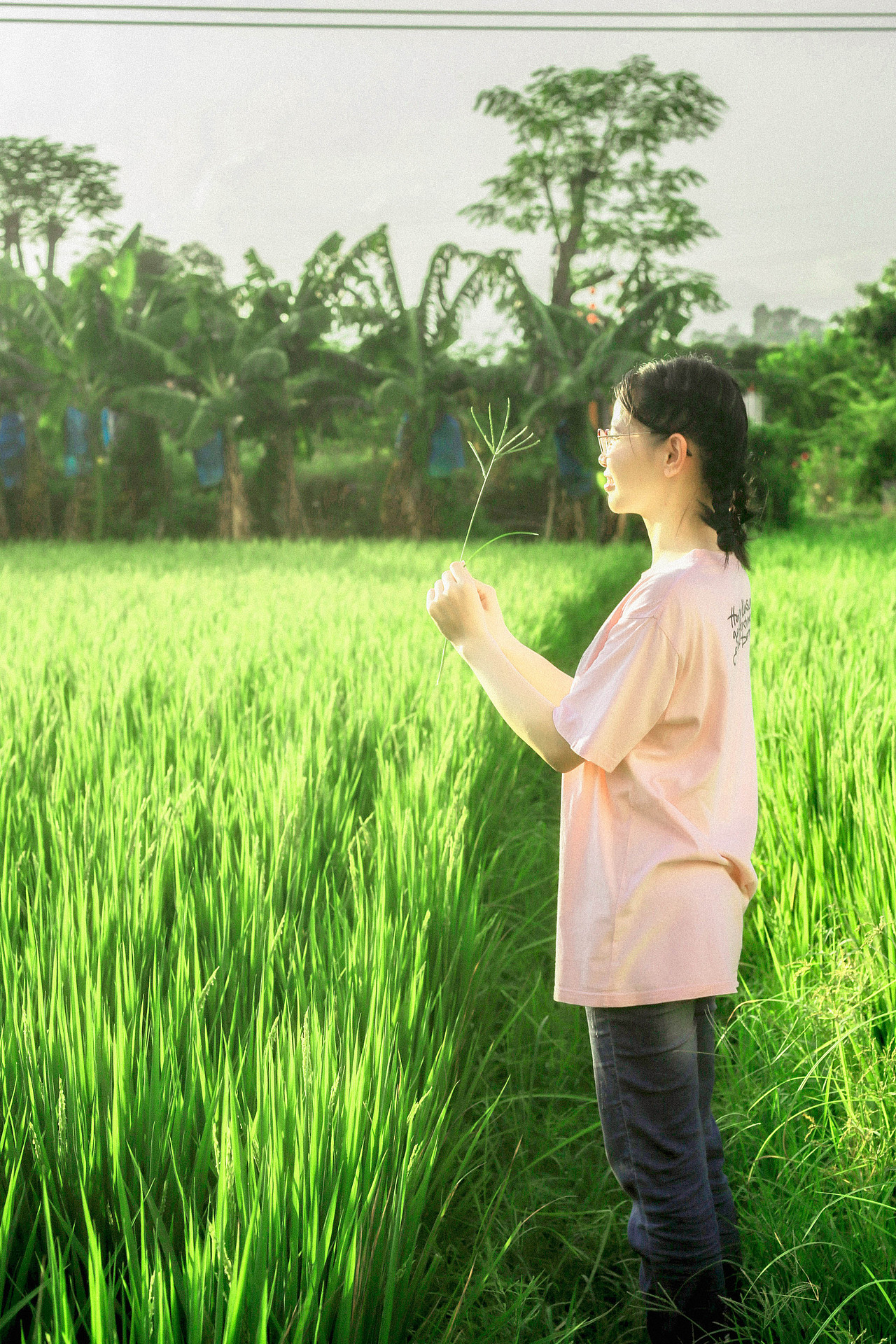 夏天的尾巴-云云