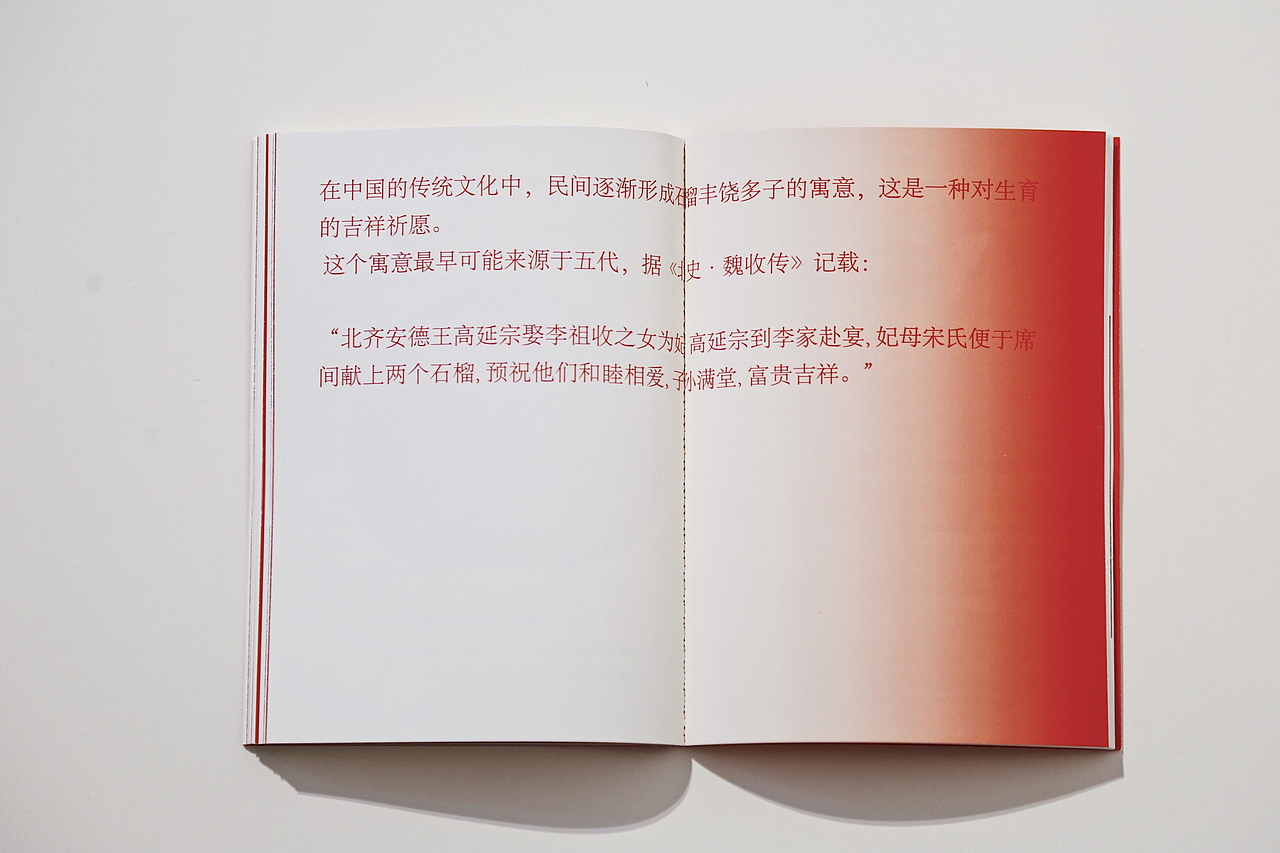 #2021青春答卷#石榴 形·意（图ZMjU3ODU0NzM2） - 其他 - 站酷设计师央美设计学院原创素材 - 站酷ZCOOL