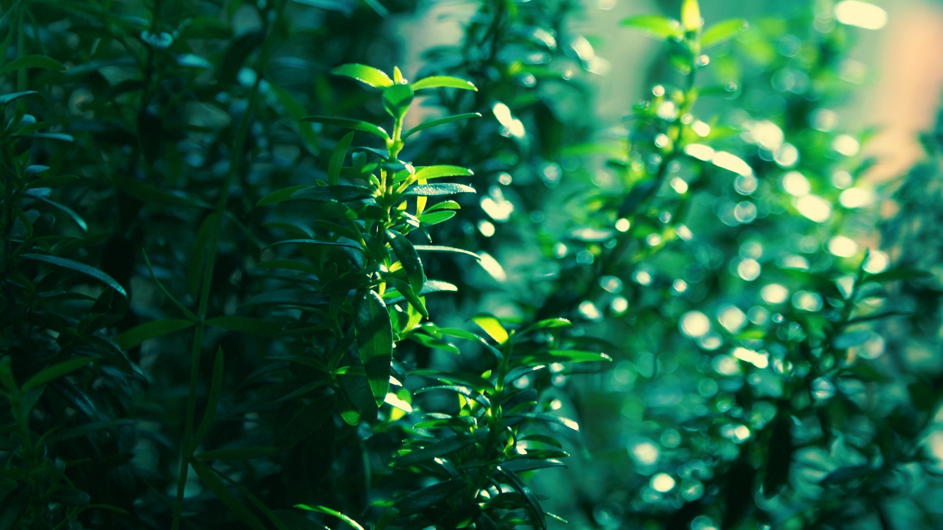 野萍的個(gè)人主頁（封面預(yù)覽） - 主頁封面設(shè)置 - 站酷設(shè)計(jì)師野萍原創(chuàng)素材 - 站酷ZCOOL