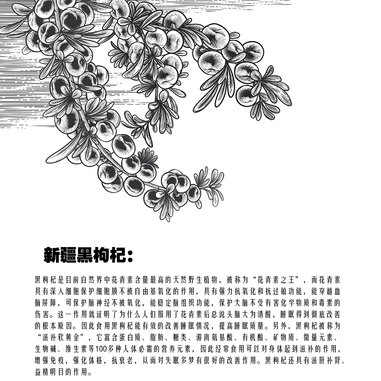 新疆礼物御农果业养生茶礼盒联图