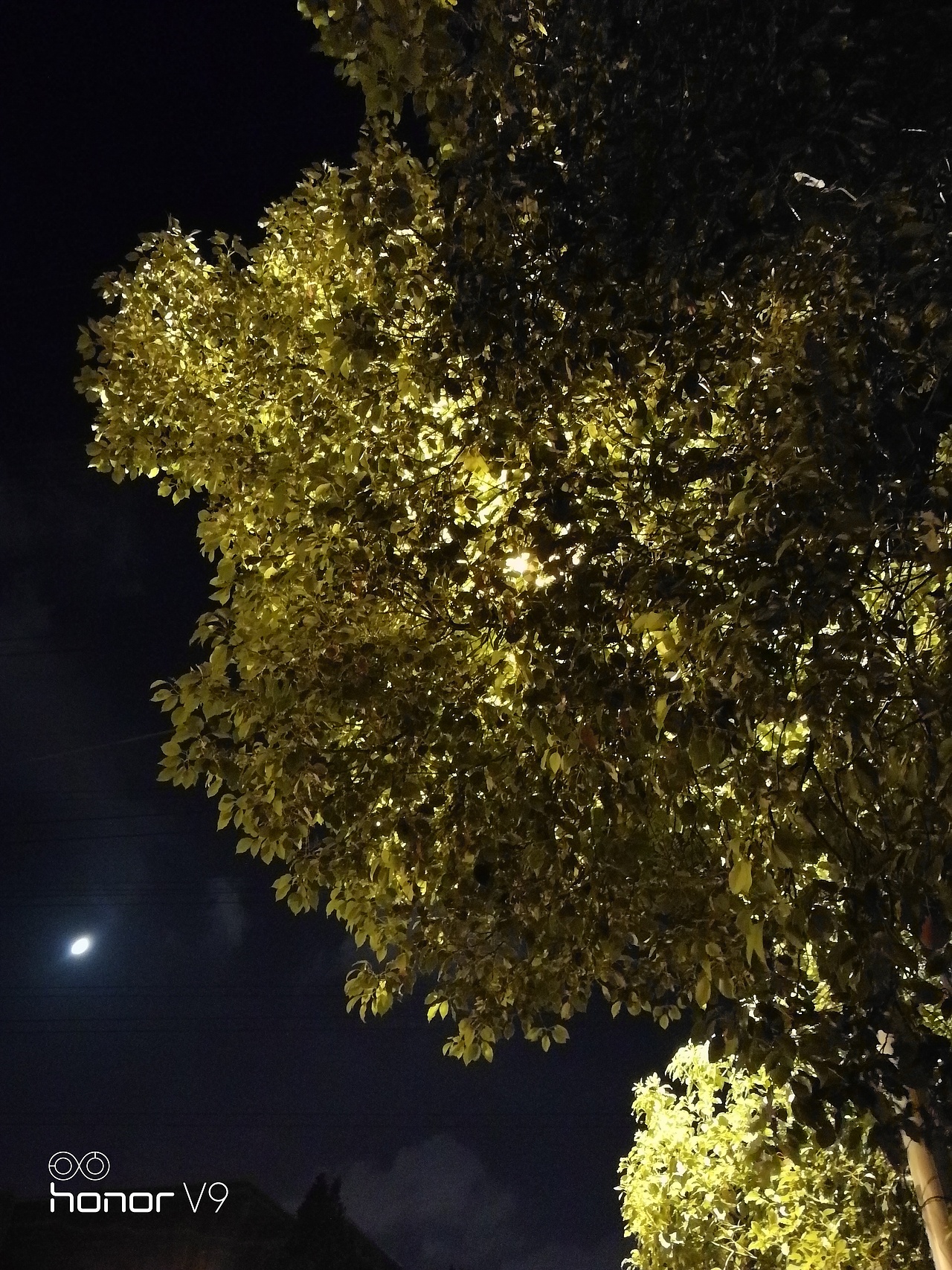 手机随拍（图ZMjE2MDk1MzA0） - 人文/纪实摄影 - 站酷设计师铁板三文鱼原创素材 - 站酷ZCOOL