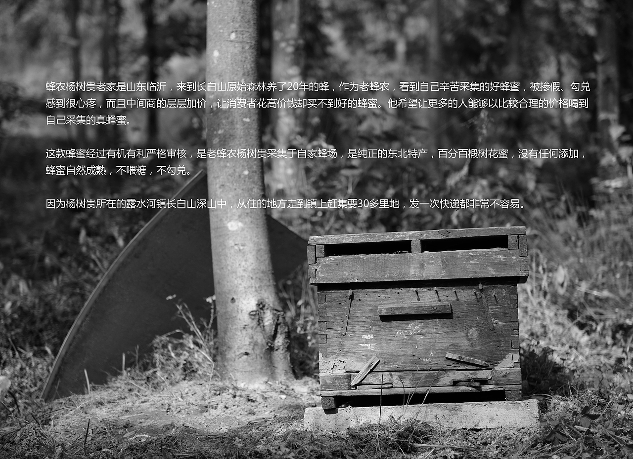 田员外蜂蜜包装