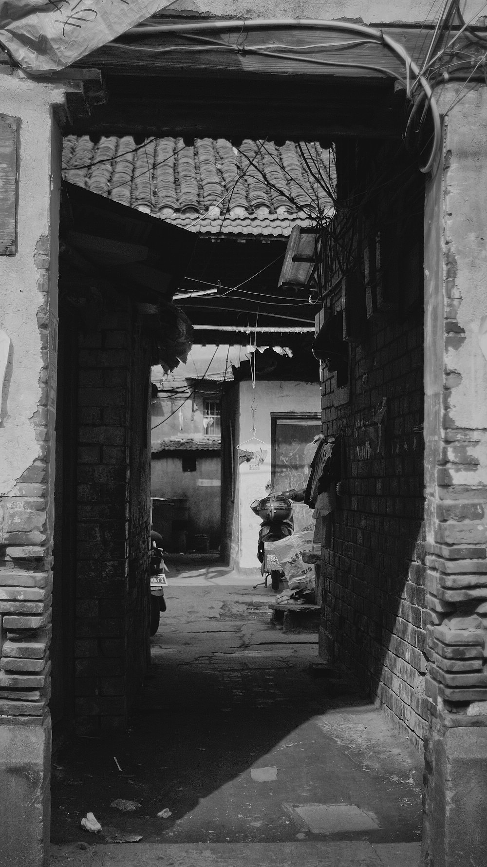 老人,旧时光与喵