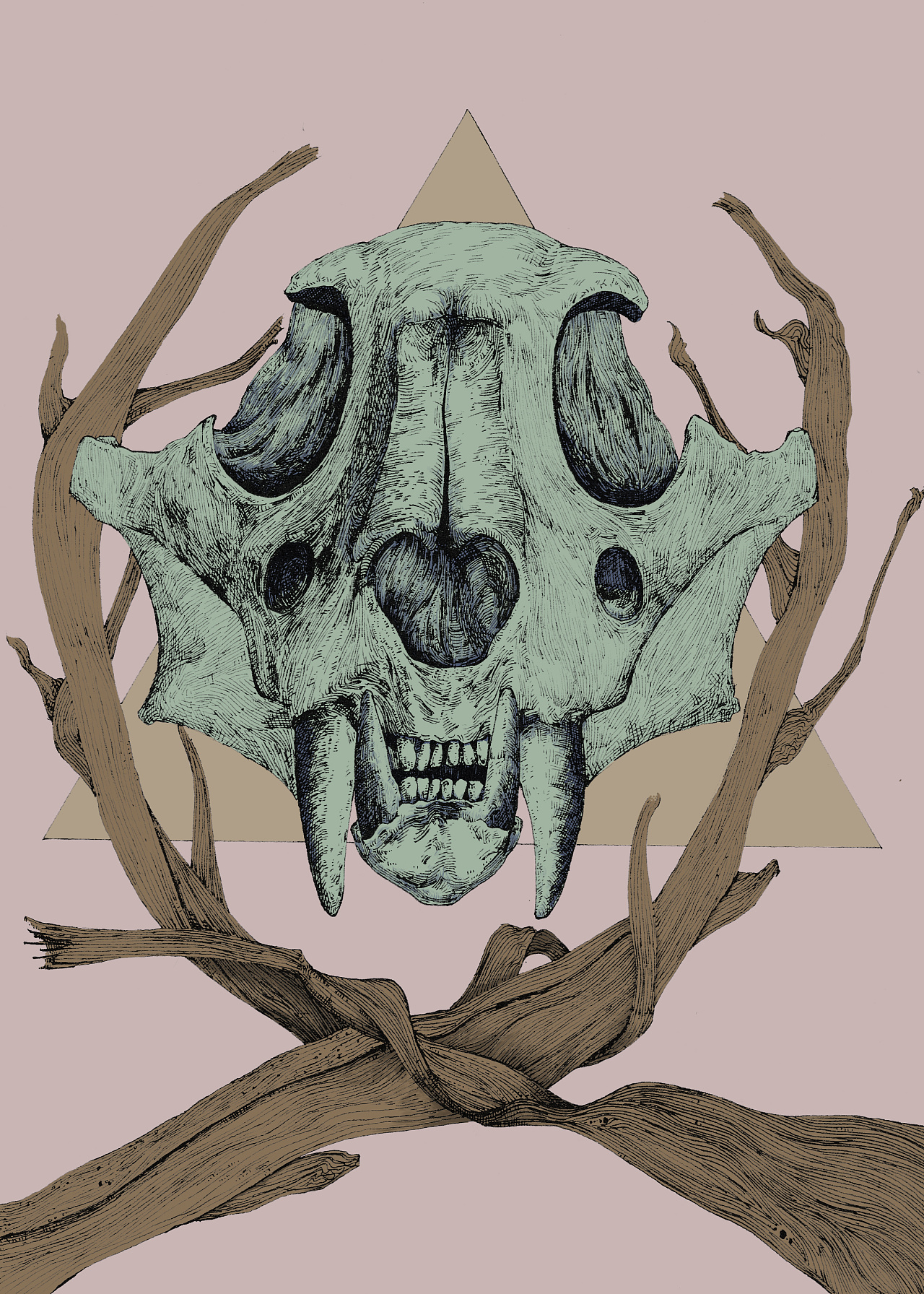 最近插画习作头骨系列