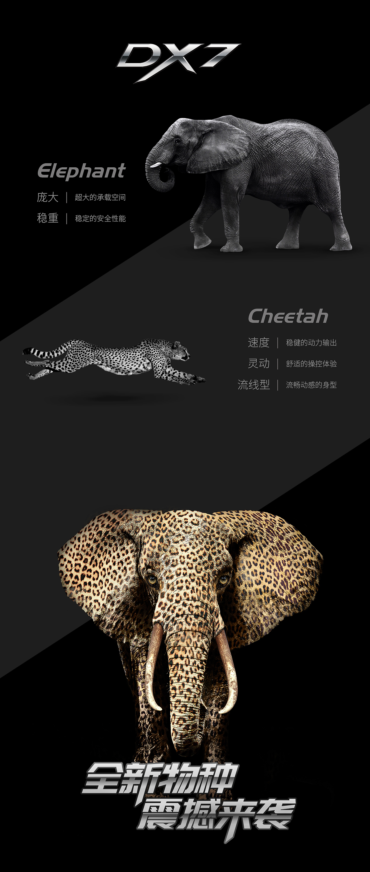 全新物种 震撼来袭 【NEW SPECIES】（图ZODcyNjExODA=） - 海报 - 站酷设计师农村拓哉原创素材 - 站酷ZCOOL