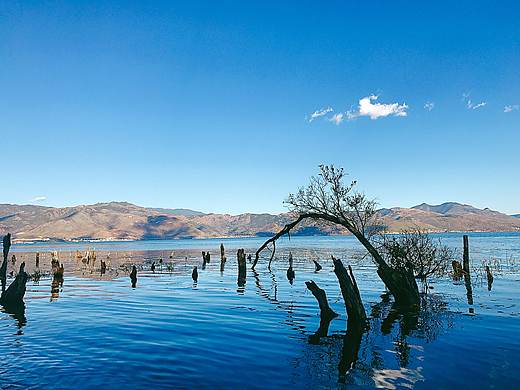 云南之旅（個(gè)人主頁(yè)-ZNDQyOTk5ODg=） - 其他攝影 - 站酷設(shè)計(jì)師刀下小設(shè)原創(chuàng)素材 - 站酷ZCOOL