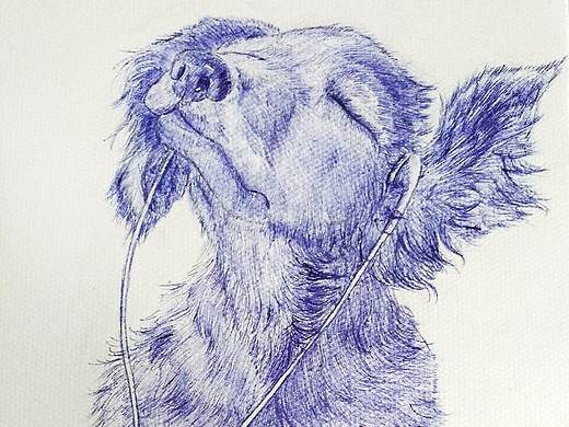 一些自己画的小插画