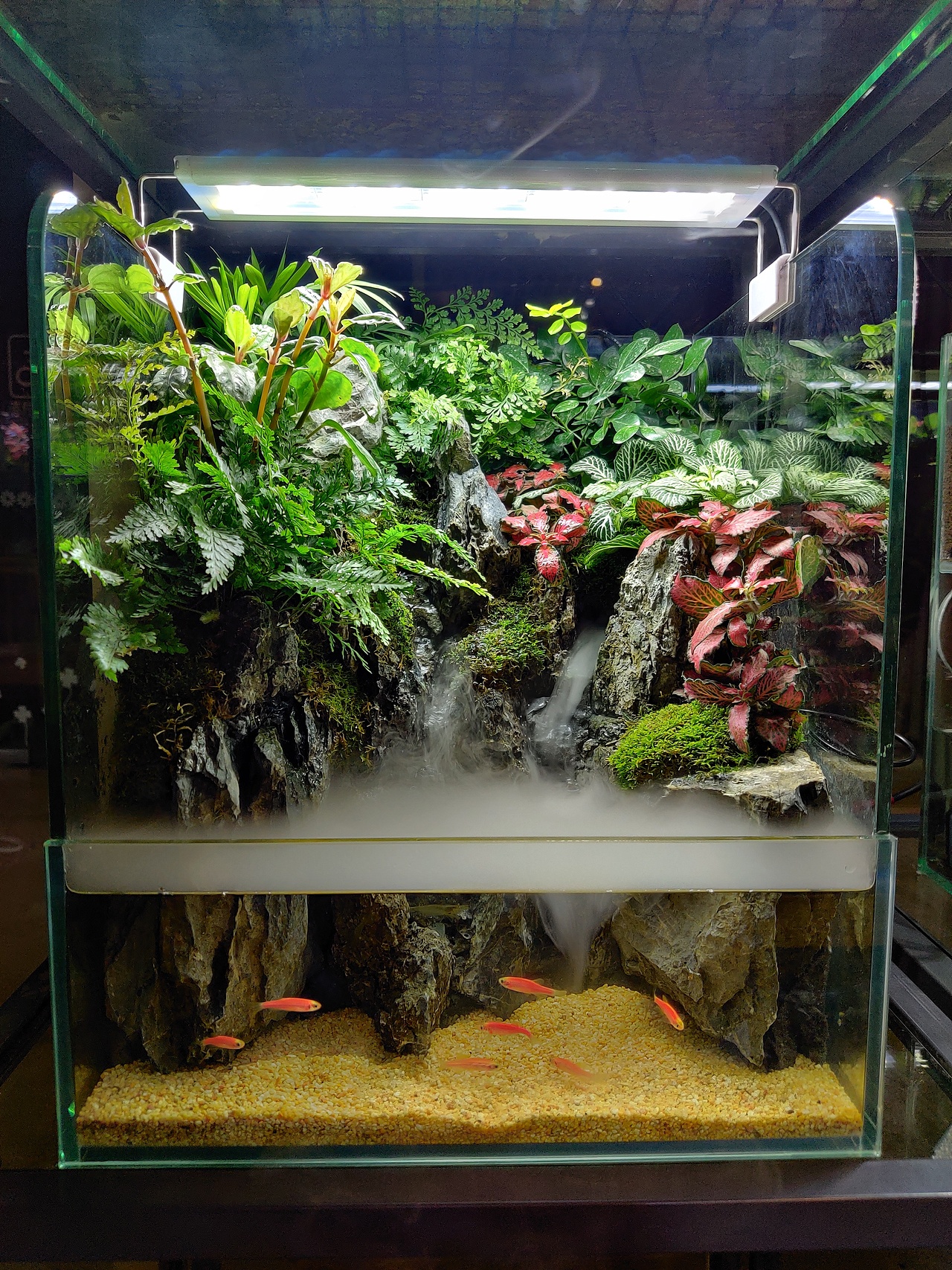 水陆常规缸，雨迹雲踪·Liangki良奇制作（图ZMjM5Njg2NzY0） - 其他手工艺 - 站酷设计师Liangki良奇原创素材 - 站酷ZCOOL