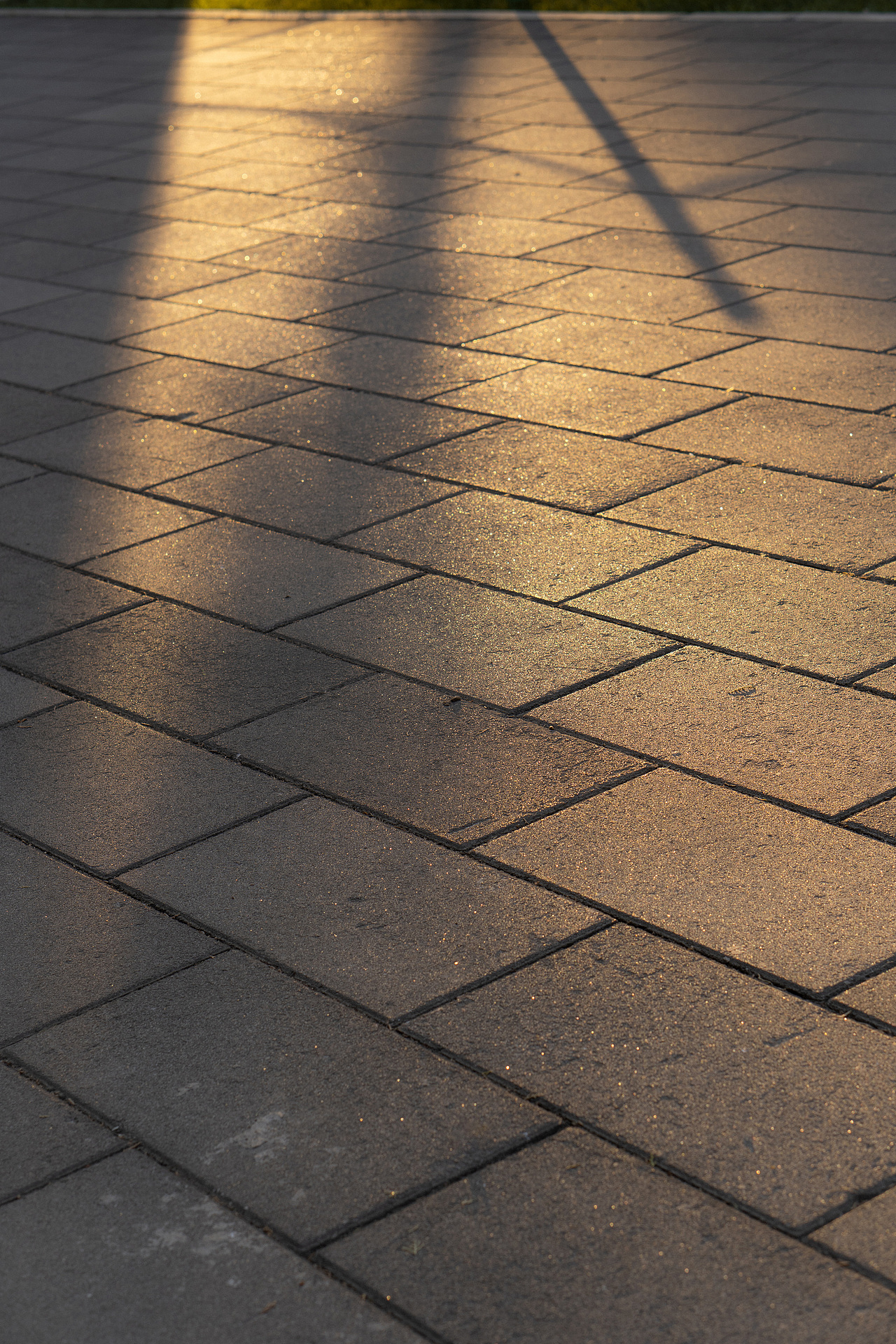 满城秋色的京城（图ZMjM1NjAyNjgw） - 风光摄影 - 站酷设计师小红帽JN原创素材 - 站酷ZCOOL