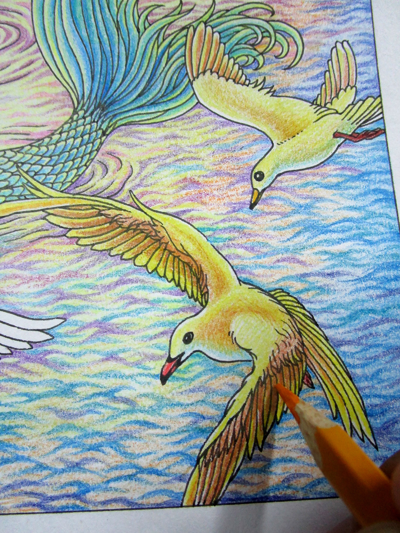 美人鱼彩铅手绘过程详解