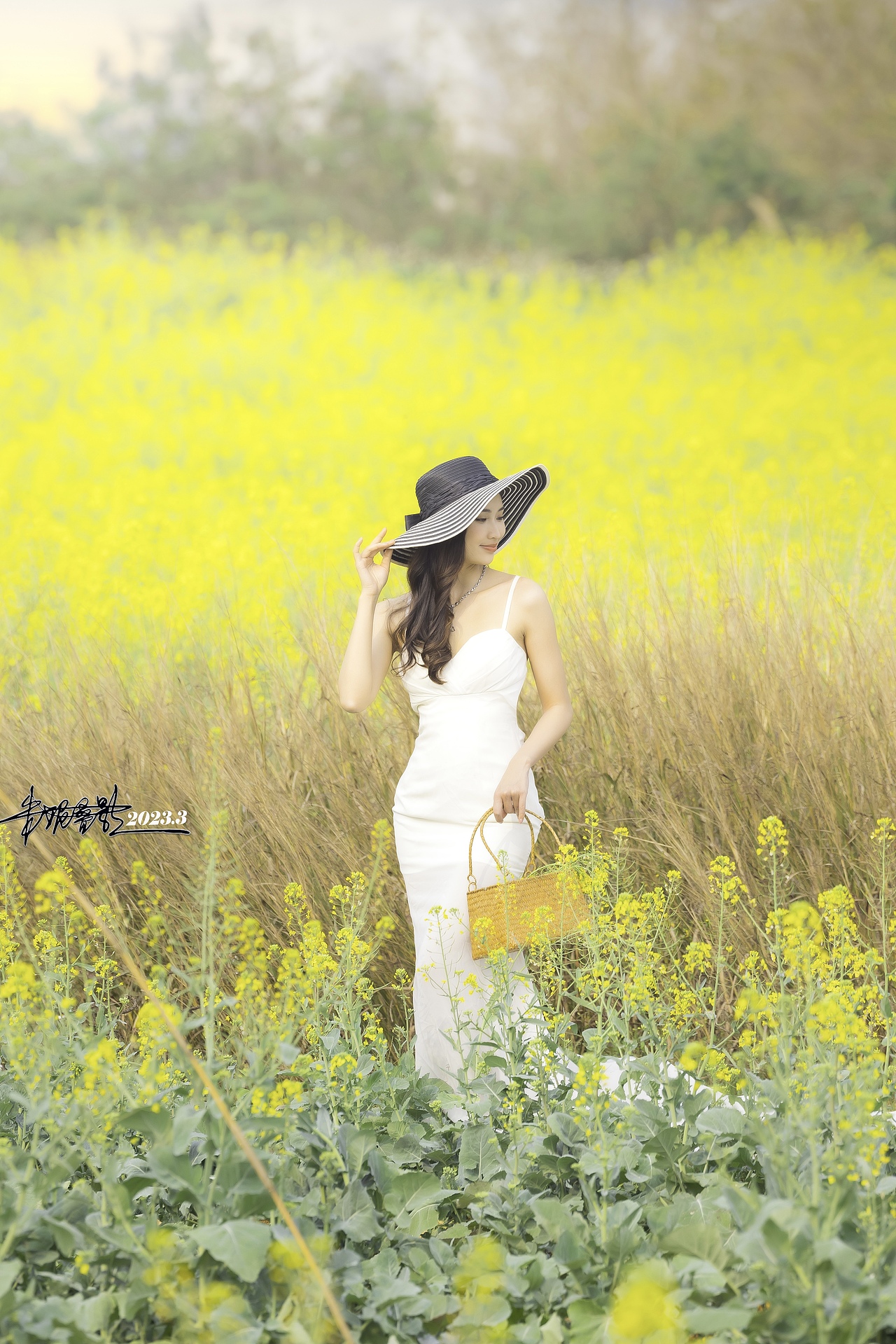 南宁明阳工业区“油菜花田”