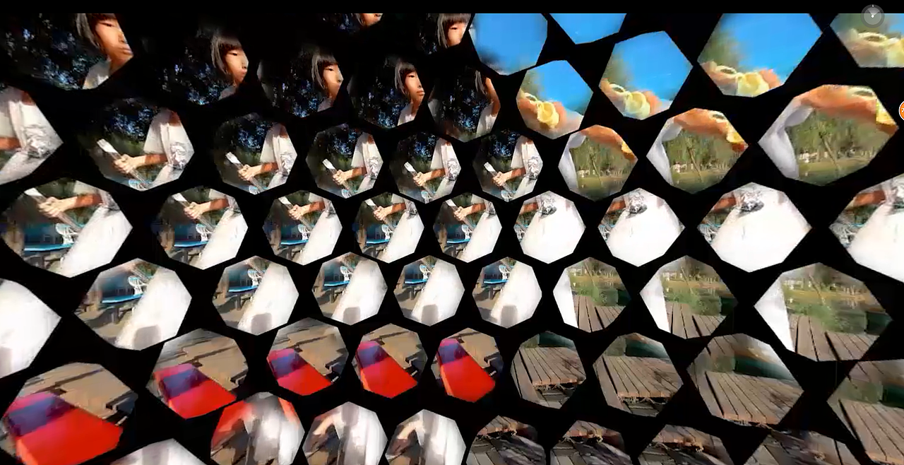 360°全景VR科普视频-昆虫的复眼