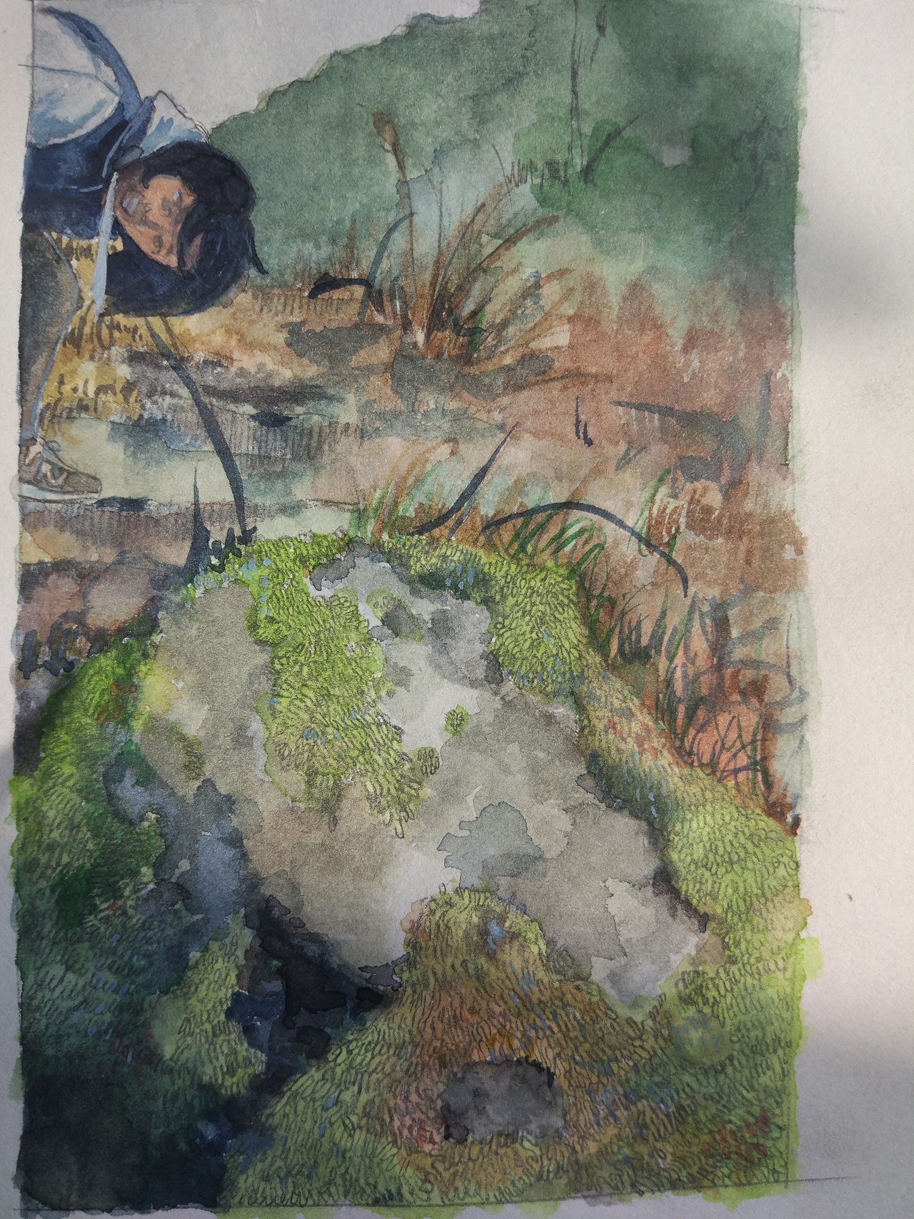 杂七杂八的水彩速写练习