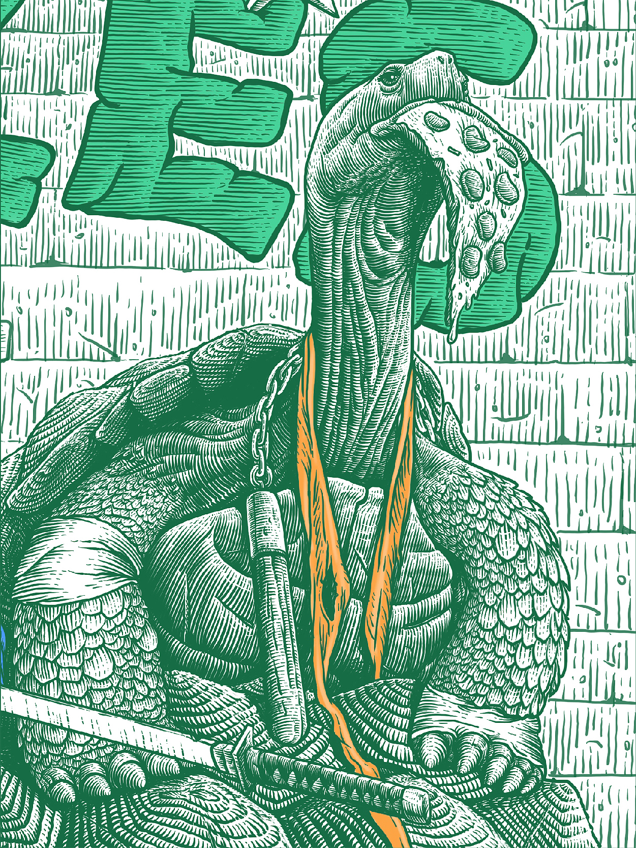 原创插画｜忍者神龟（图ZMjY1OTY1MTUy） - 商业插画 - 站酷设计师花椒的Alex原创素材 - 站酷ZCOOL