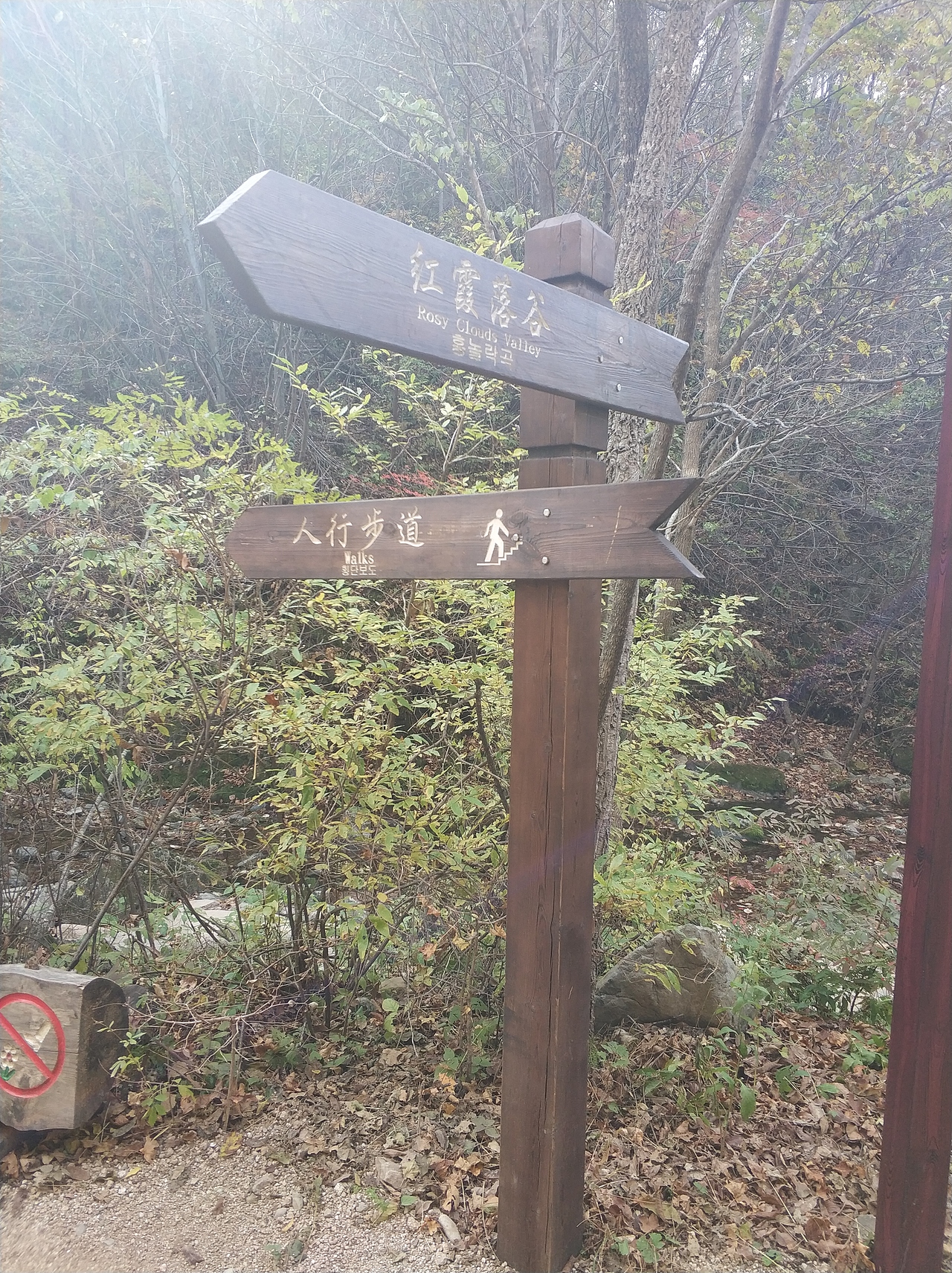 摄影 · 《绿石谷》