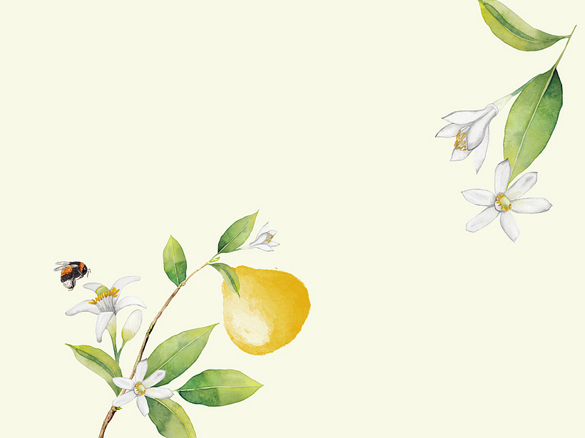 统一如饮蜂蜜柠檬饮品