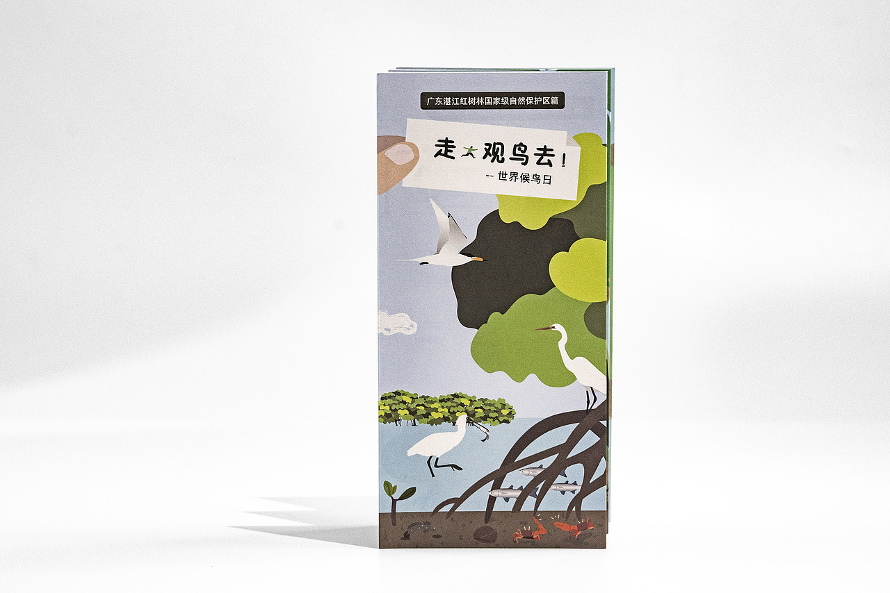 世界候鸟日-观候鸟折页及海报(图ZMjYzNDk3NDQ4) - 宣传物料 - 站酷设计师tofu豆腐原创素材 - 站酷ZCOOL