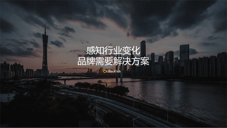 Blackfish 官网 - 2020(图ZMjE0NDAwMTYw) - 企业官网 - 站酷设计师慕歌原创素材 - 站酷ZCOOL