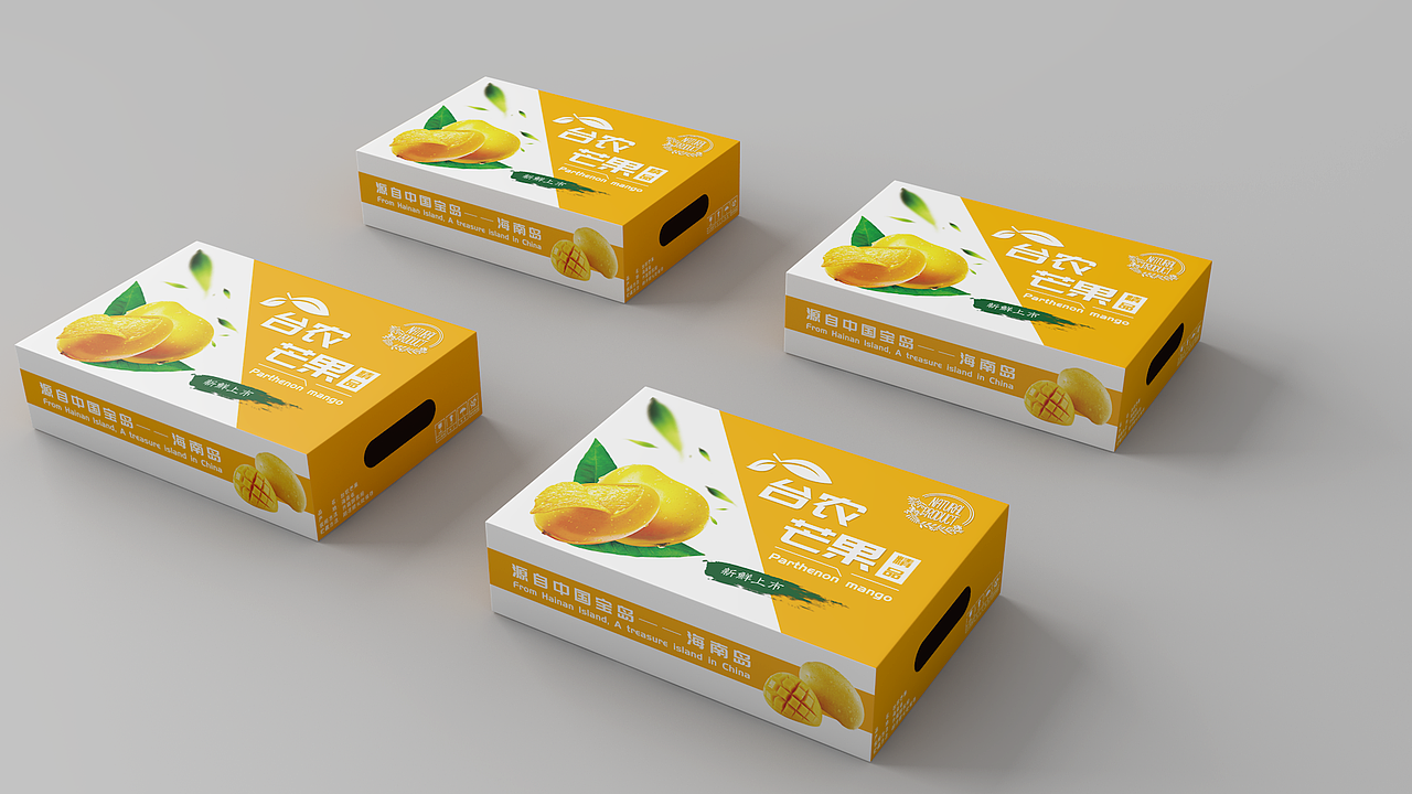 一组海南热带水果外包装设计