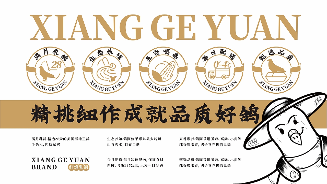 香鸽园-红烧乳鸽-餐饮品牌设计