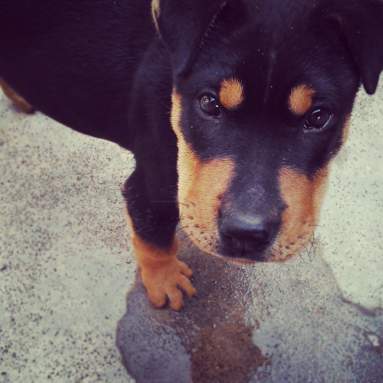 随手涂涂拍拍 /