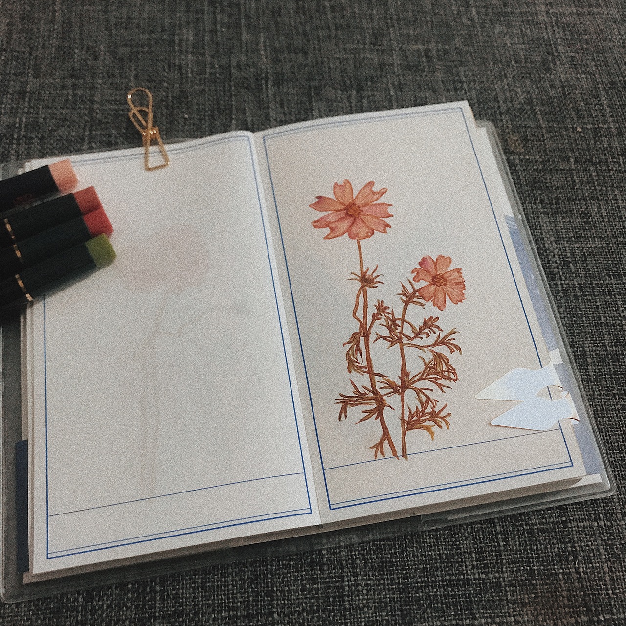 今天画了格桑花和铃兰（图ZMjAyNjIwMTA4） - 其他 - 站酷设计师AMENGA原创素材 - 站酷ZCOOL