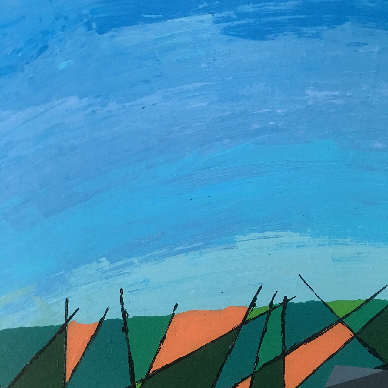 麻地里撒欢儿的牧羊犬