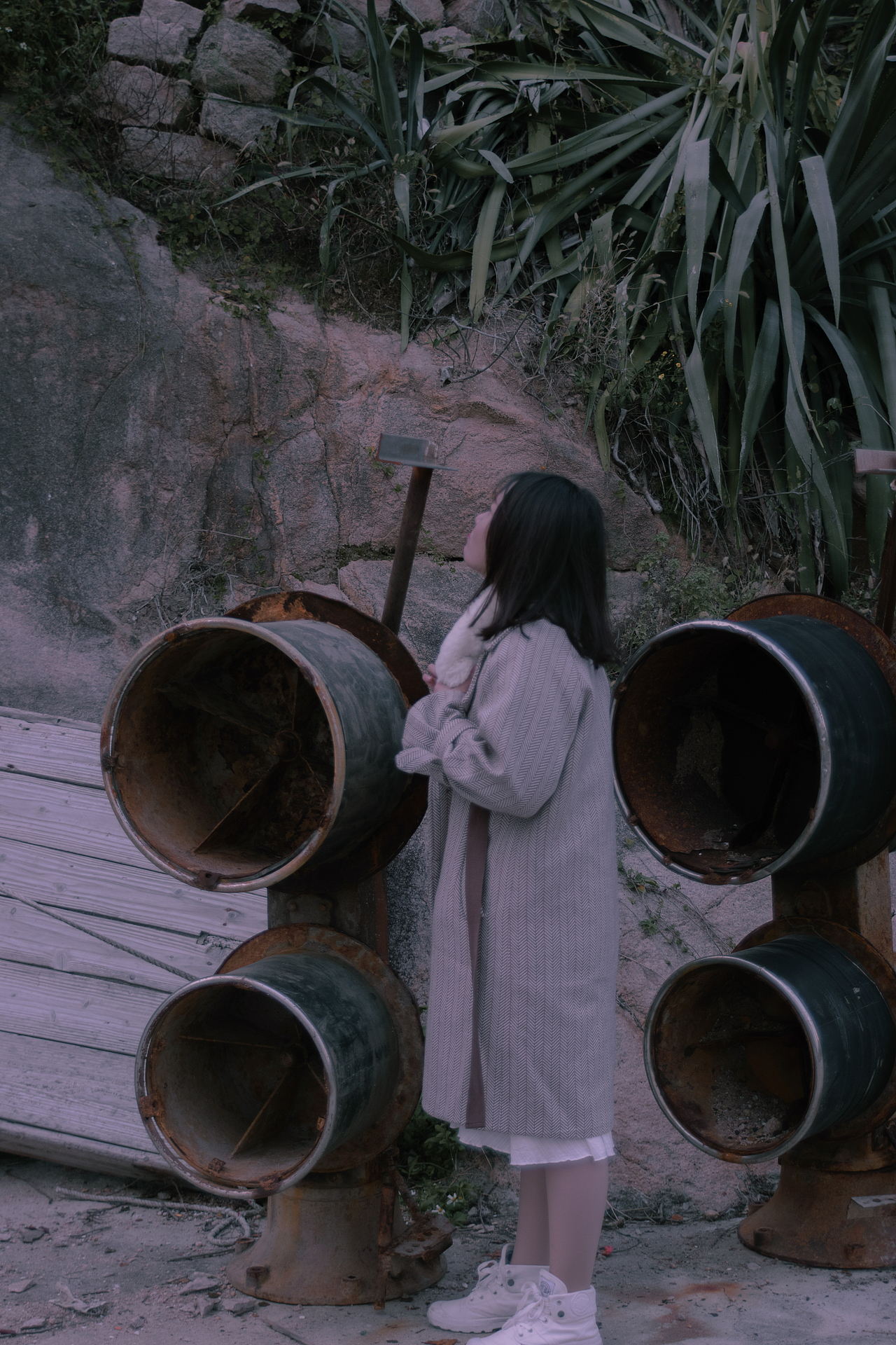 今日乐相乐。别后莫相忘「鲸摄」