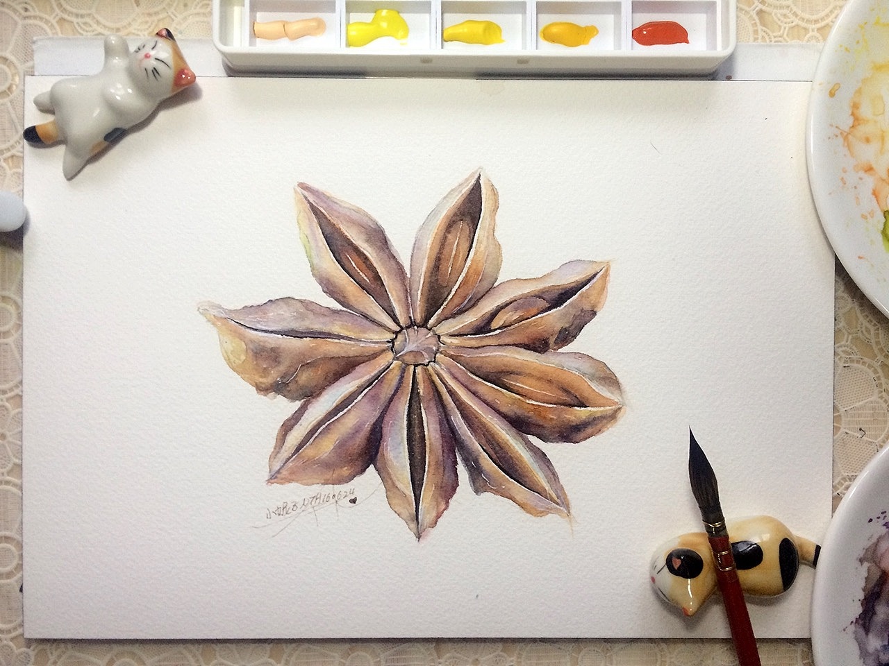 小妮子水彩香料篇八角