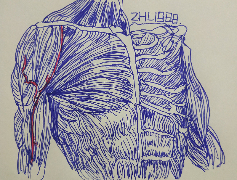 每日一画-04（2019年的作品）（图ZMjA4MjE4NTky） - 绘画 - 站酷设计师zhl1988原创素材 - 站酷ZCOOL