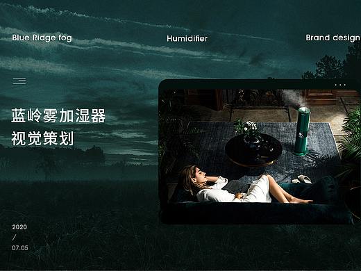 蓝岭雾加湿器&海湾无雾加湿器