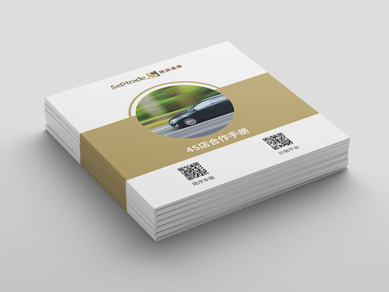 产品手册（图ZMTE1OTU0NzE2） - 书籍/画册 - 站酷设计师当当当DANG原创素材 - 站酷ZCOOL