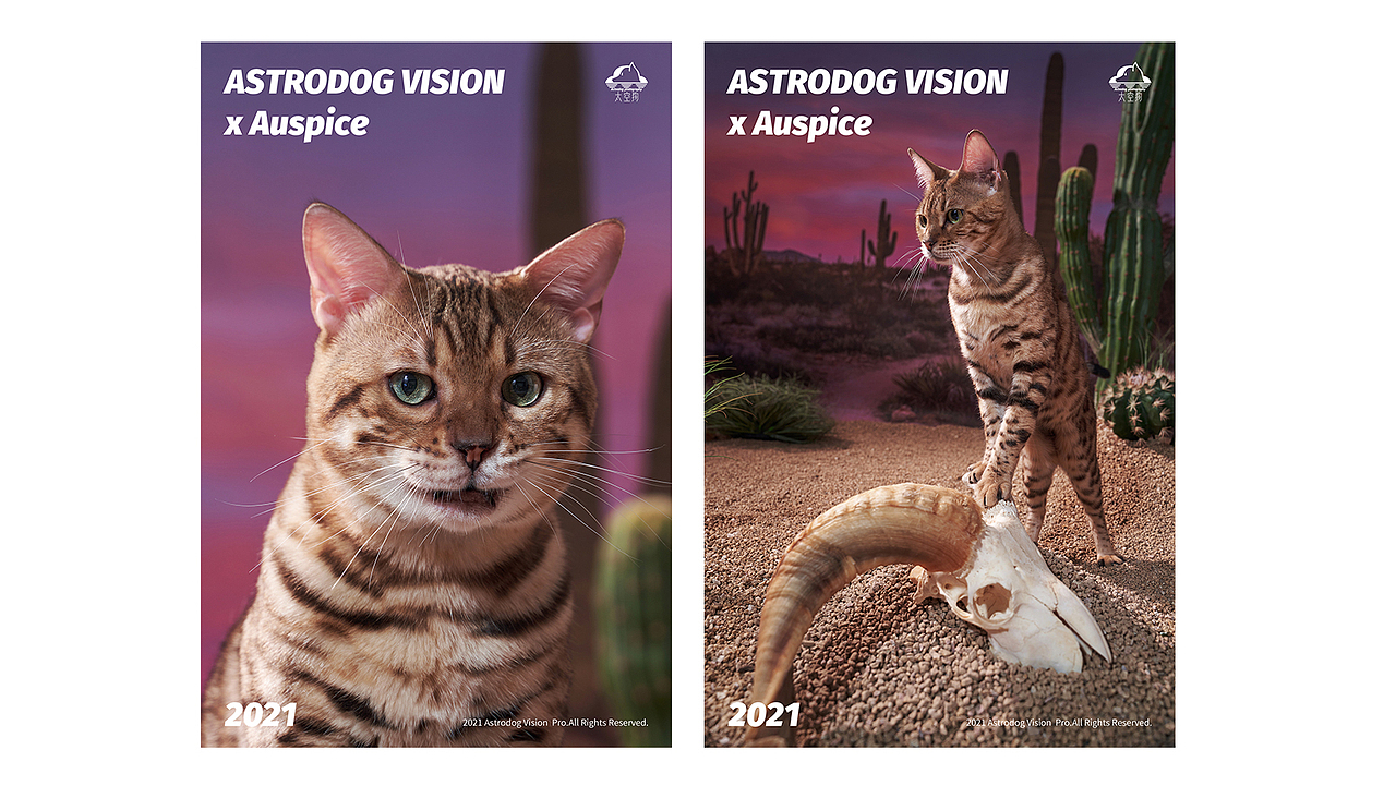 宠物商业摄影-安贝原生全价猫粮/狗粮（图ZMjc1MjkxODI4） - 产品摄影 - 站酷设计师太空狗视觉原创素材 - 站酷ZCOOL