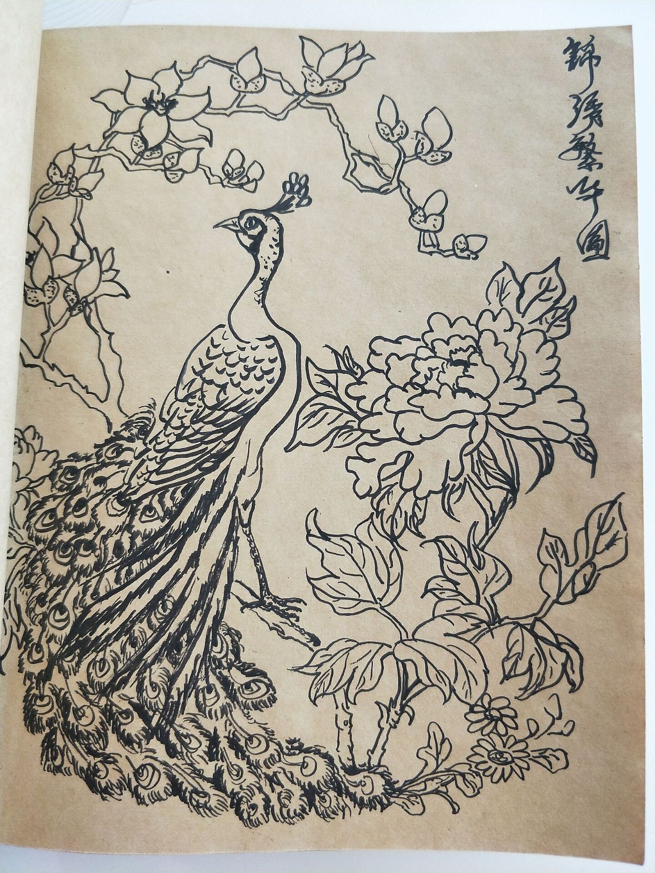 线描手绘