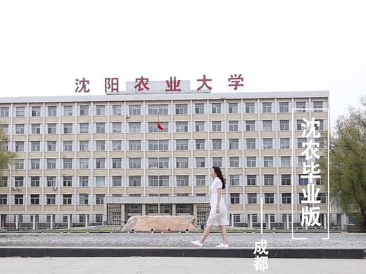 沈农毕业版成都（个人主页-ZMjQyMjUyNTI=） - MV - 站酷设计师弓藏雨露原创素材 - 站酷ZCOOL
