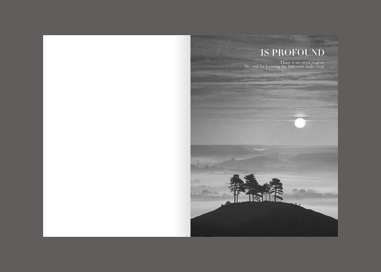 画册 练习（图ZNjMyNTg5MTI=） - 书籍/画册 - 站酷设计师Liuzhipin原创素材 - 站酷ZCOOL