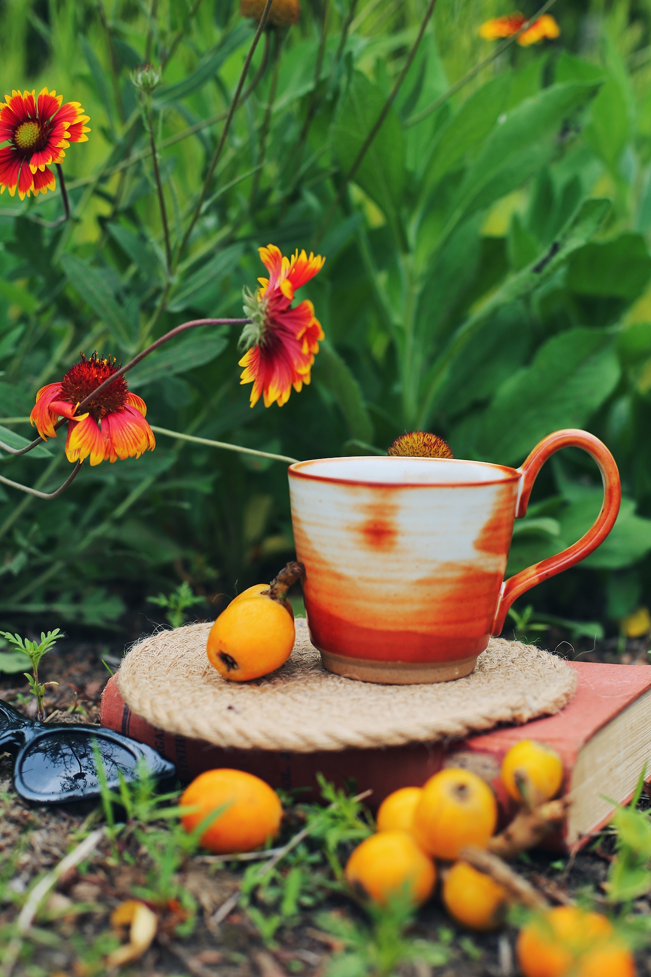 带着枇杷去逛公园（图ZMjA5NDQxOTY4） - 产品摄影 - 站酷设计师艾满满原创素材 - 站酷ZCOOL