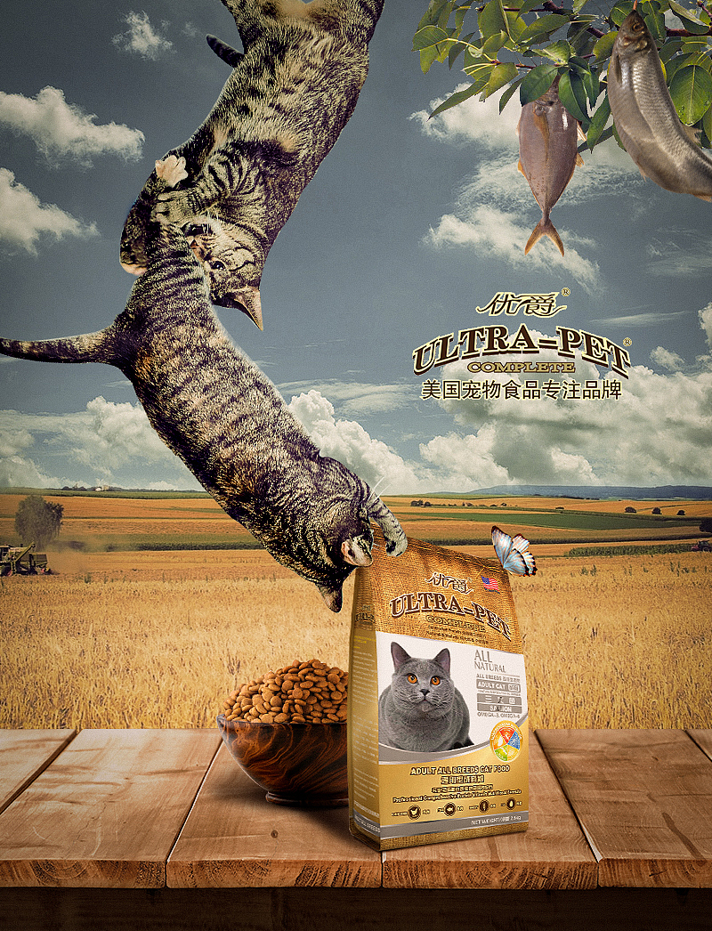 把朕的猫粮拿来