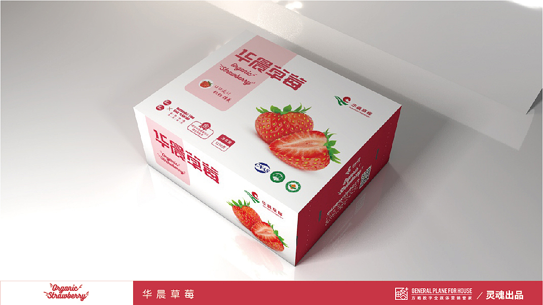 华晨包装系列