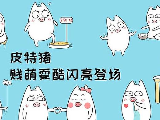 《皮特猪来斗图》上架微信表情商城(个人主页-ZMjgwNDgxMjA=) - 绘本 - 站酷设计师大慧哟原创素材 - 站酷ZCOOL