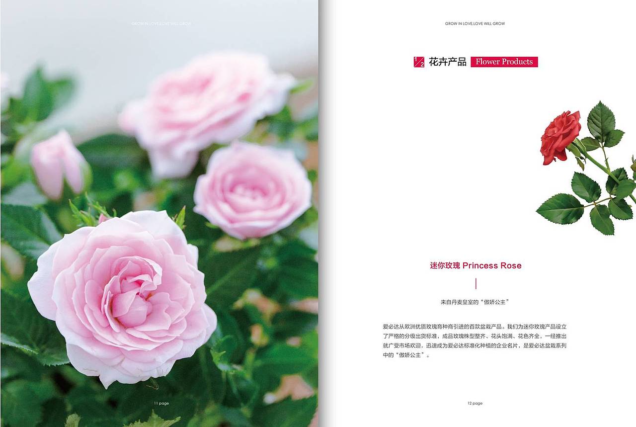 画册（图ZMTQ5MDcyNDg0） - 书籍/画册 - 站酷设计师leelwhong原创素材 - 站酷ZCOOL