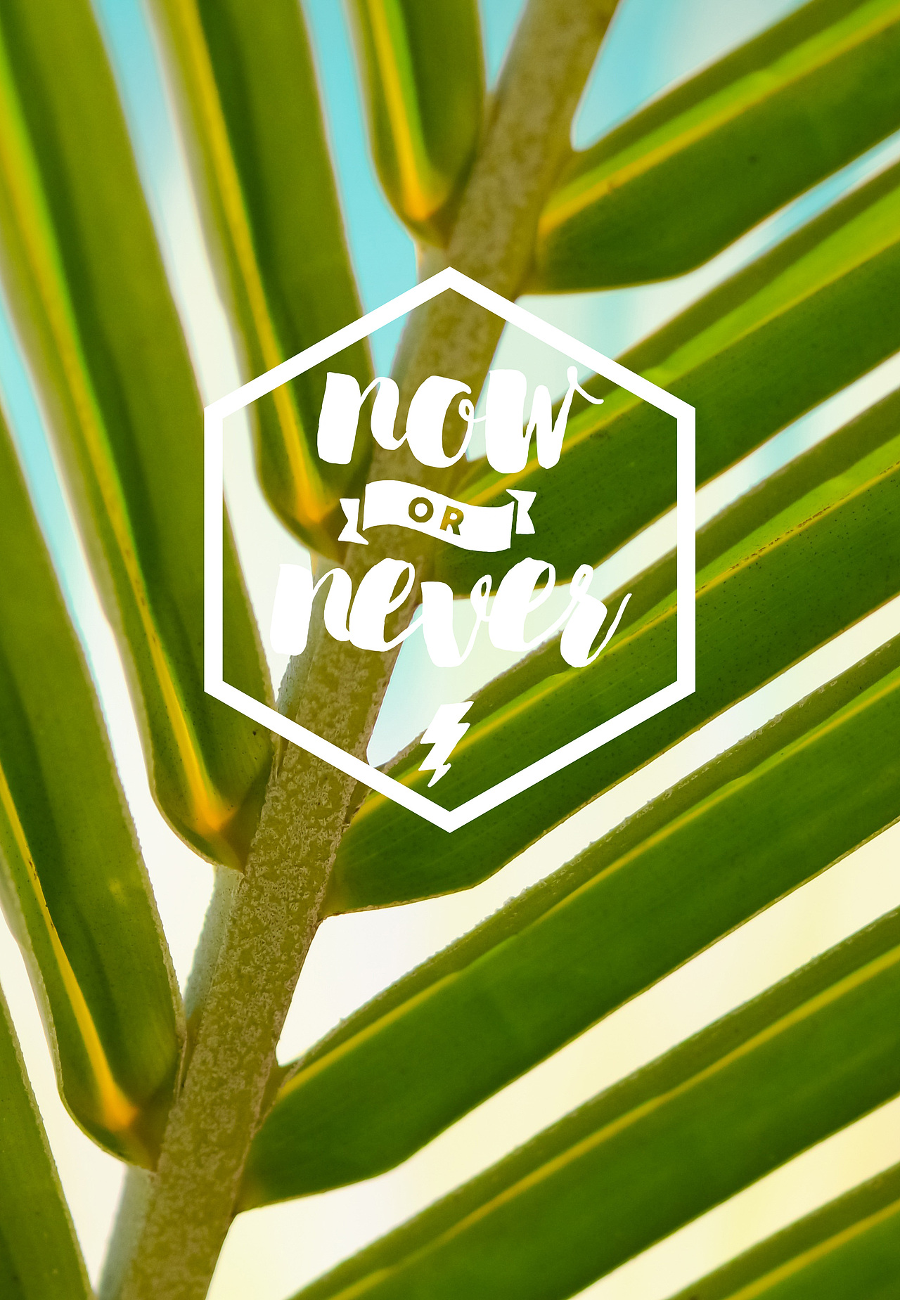 清新绿植叶子系列（图ZMTc0OTIwMTI0） - 图案 - 站酷设计师山知设计原创素材 - 站酷ZCOOL