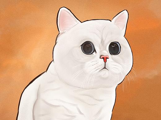 严肃的喵