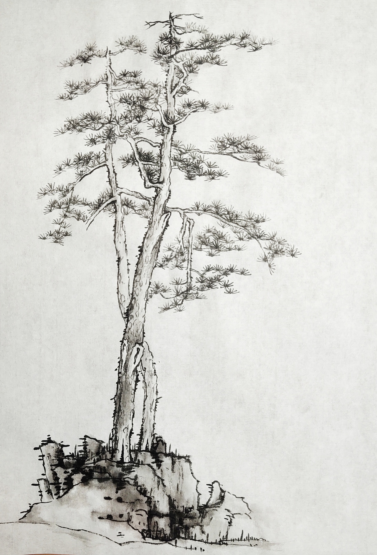 树木练习|纯艺术|绘画|墨者文森 - 临摹作品 - 站酷 (zcool)