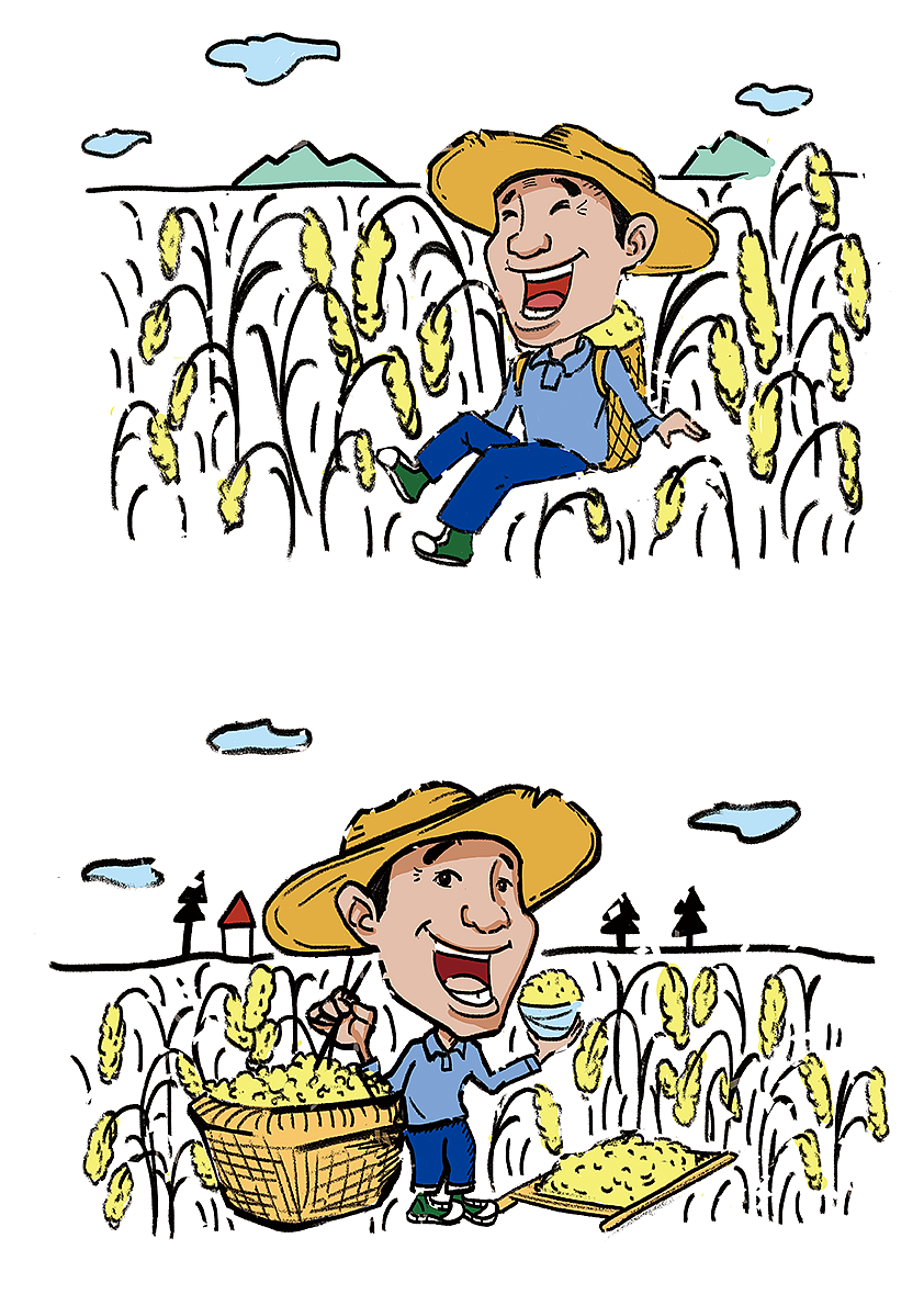 小米农作物包装插画