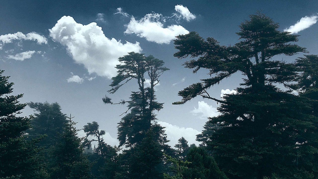 手机也能记录雪域高原之美