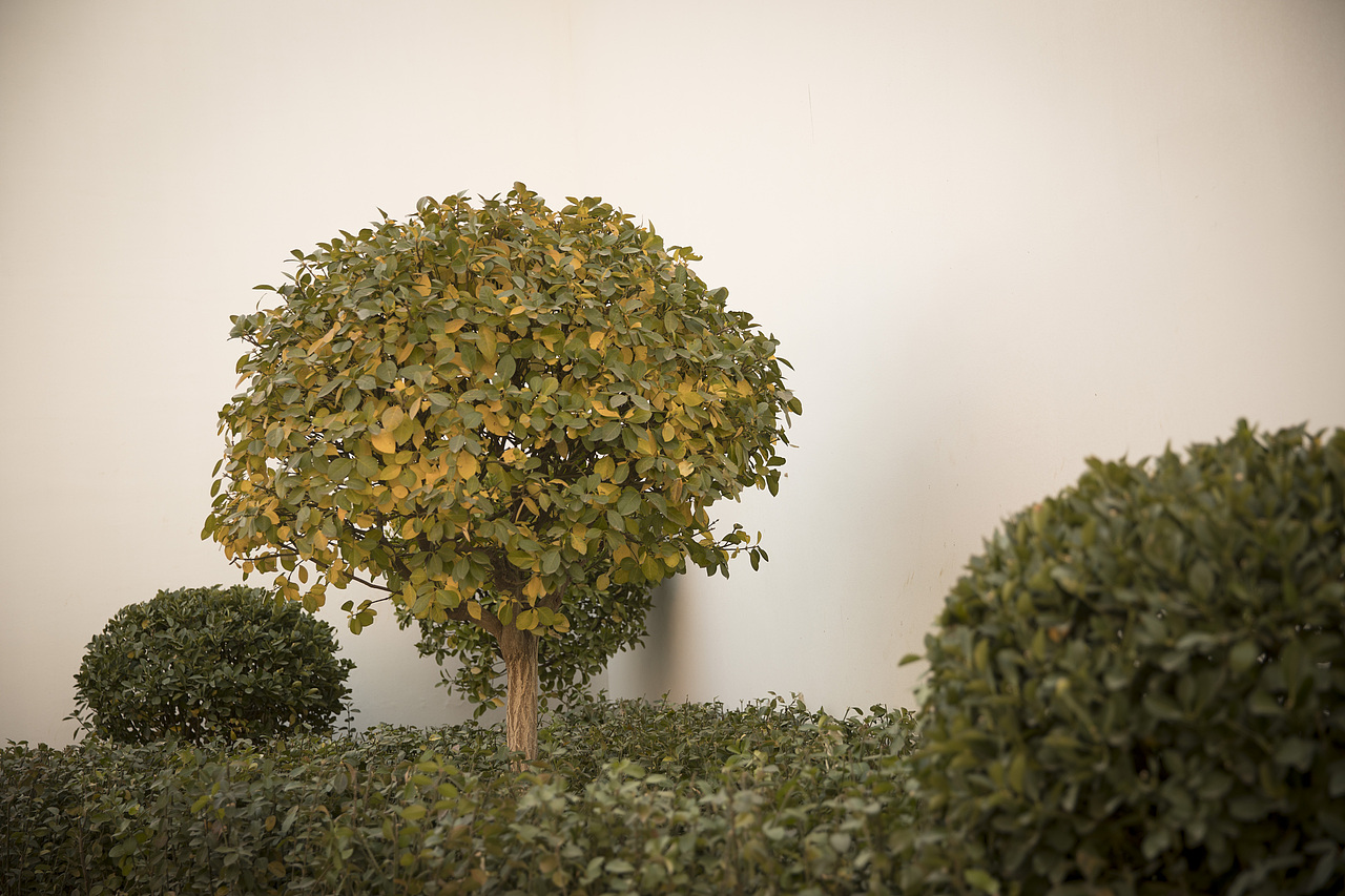 实景拍摄 流量慎入!