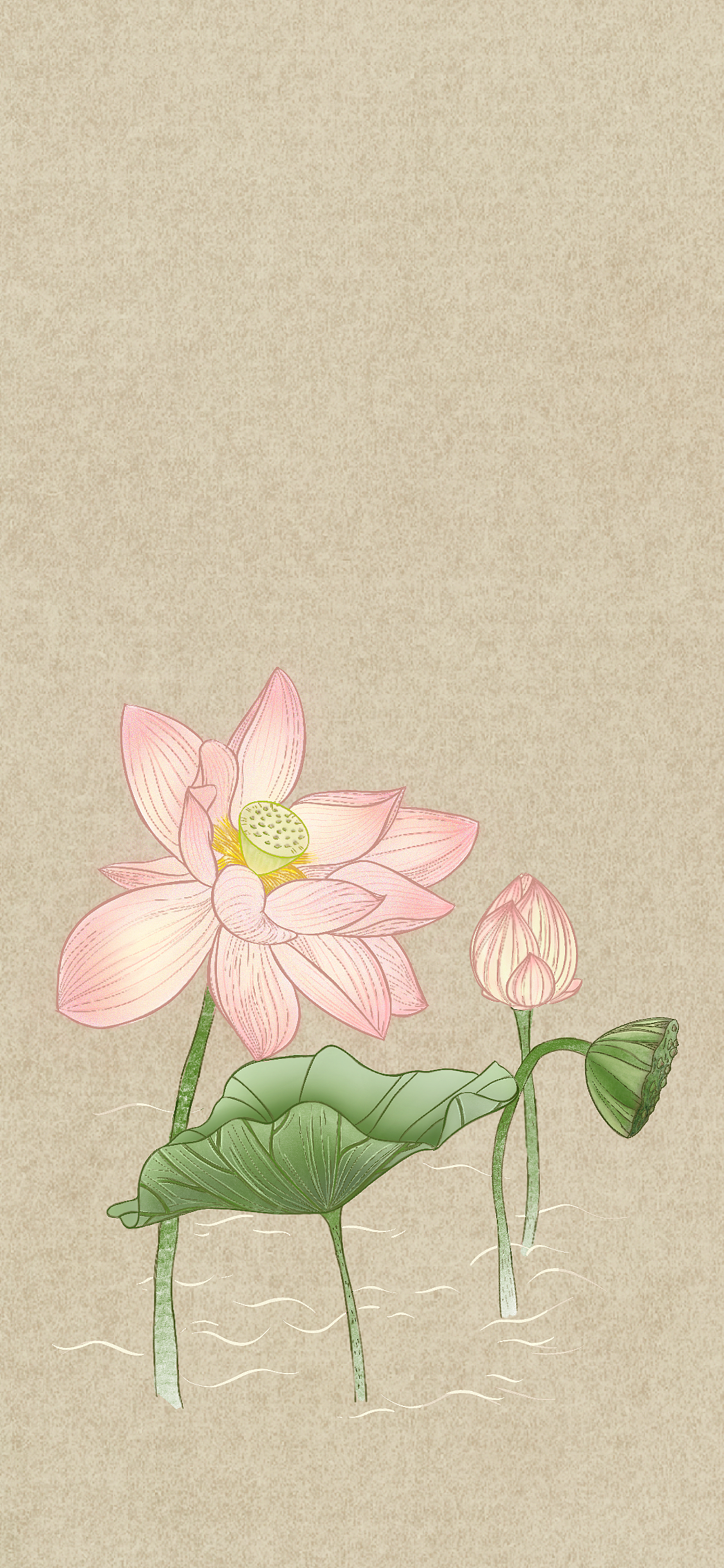 中式物件儿插画（图ZMzI5NDI1MDAw） - 艺术插画 - 站酷设计师Ella_bai原创素材 - 站酷ZCOOL